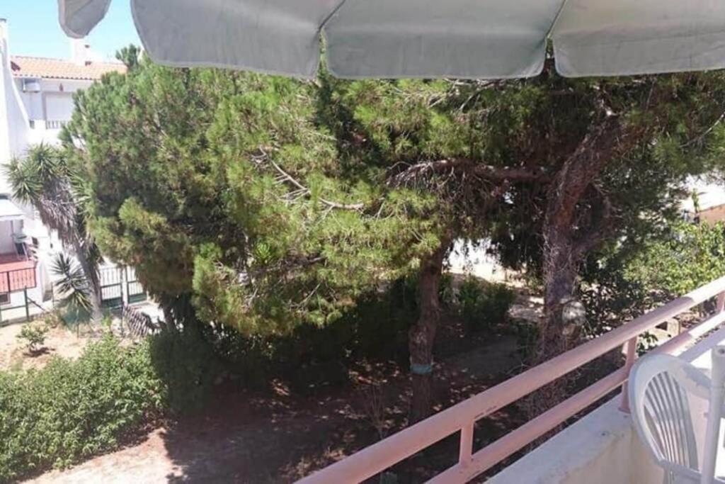 Falesia - Near The Beach - The Gavel Apartment Albufeira Ngoại thất bức ảnh
